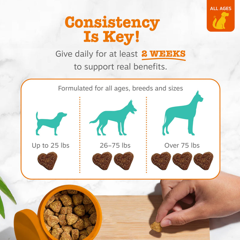 Zesty Paws Calming Chews for Dogs Composure & Relaxation for Everyday Stress & Separation Peanut Butter 90 Count 90 Count (Pack of 1)