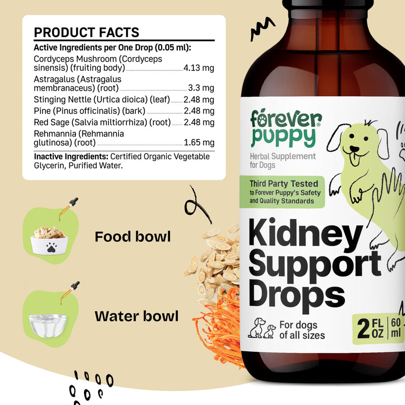Kidney Support Drops for Dogs - Natural Kidney Care w/Cordyceps Mushroom & Stinging Nettle Leaf - Dog Food Supplements for Dogs' Kidney Health - Liquid Pet Vitamins and Supplements - 2 oz - NewNest Australia