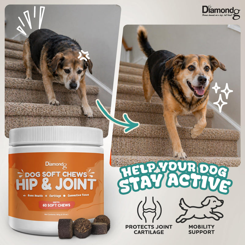 Diamondg Joint & Hip Supplement for Dogs for Large and Small Breed, 60ct – Dog Soft Chews with Glucosamine, Chondroitin, MSM, and Egg Shell Membrane to Support Mobility and Joint Health