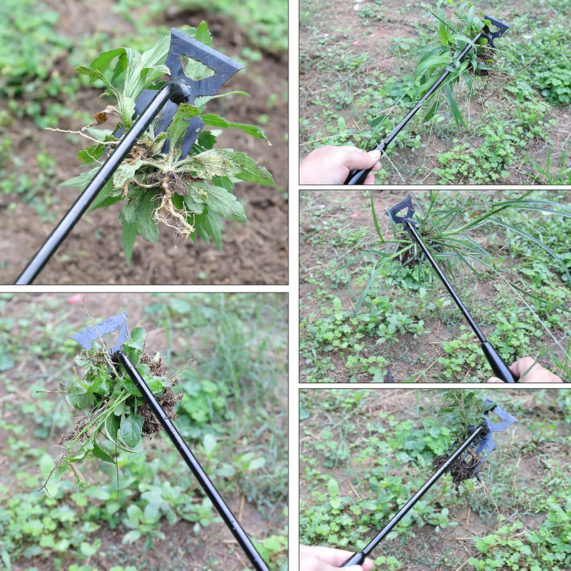 Weed Removal Tool, 2024 New Garden Weeding Tools Manganese Steel Hand Weeder Tool with Handle, 5 Teethes Dual Purpose Manual Weeders Tool Weed Pulling Tool for Garden (Black) Black