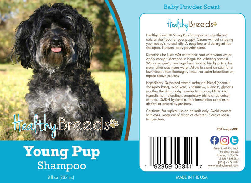 Healthy Breeds Maltipoo Young Pup Shampoo 8 oz - PawsPlanet Australia
