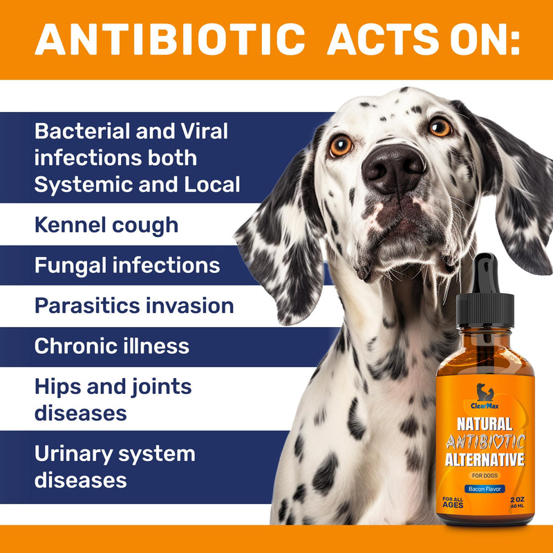 Natural Antibiotics for Dogs ◆ Dog Antibiotic ◆ Antibiotics for Dogs ◆ Dog Multivitamin ◆ Pet Antibiotic ◆ Dog Antibiotics ◆ Antibiotic for Dogs ◆ 2 Oz Bacon 2 Fl Oz