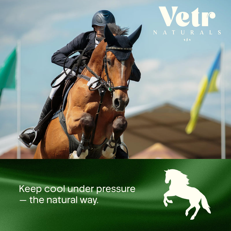 VetrChill Calming Gel for Horses - Apple Flavored Oral Supplement with L-Theanine and Melatonin - Supports Relaxation and Focus - Single Tube - Vet-Formulated in USA