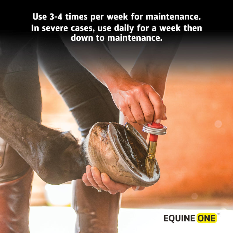 Equine One Natural Hoof Dressing - 100% All-Natural Hoof Care Product - Abscesses || Thrush || White Line || Quarter Crack (16 fl.oz) 16 fl.oz