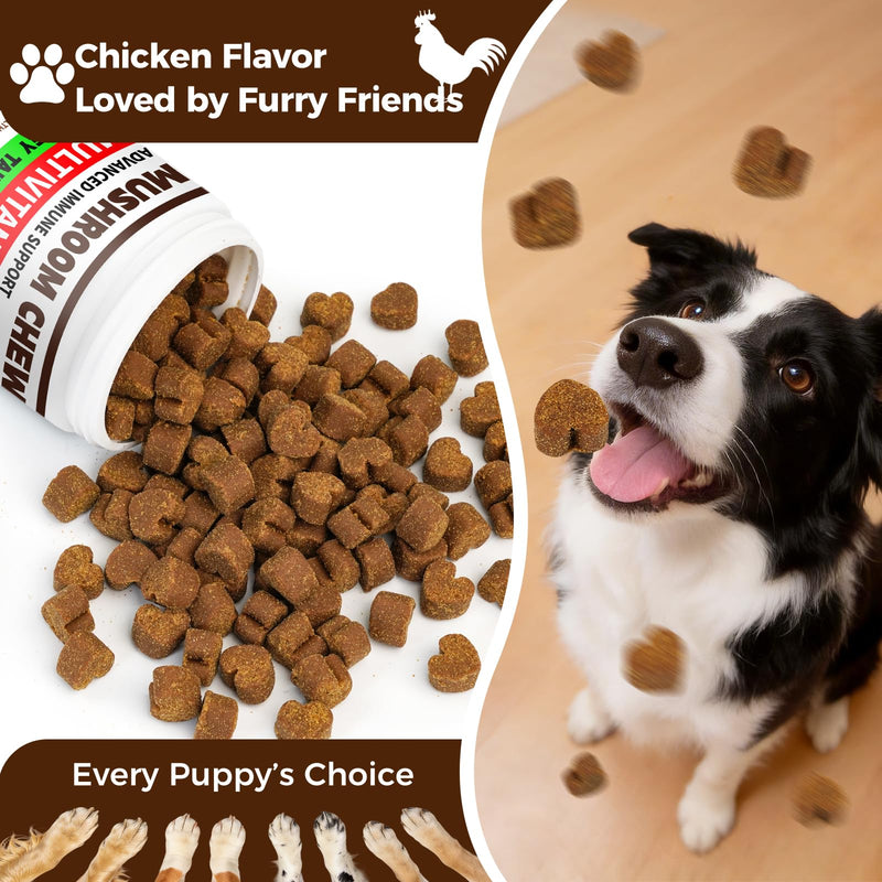 Turkey Tail Mushroom for Dogs, 170 Count Mushroom Chews for Dogs, Chicken Flavor Mushroom Supplements for Dogs, Immune Support, Joints Health, Skin & Coat, Lumps & Bumps Care Multivitamin