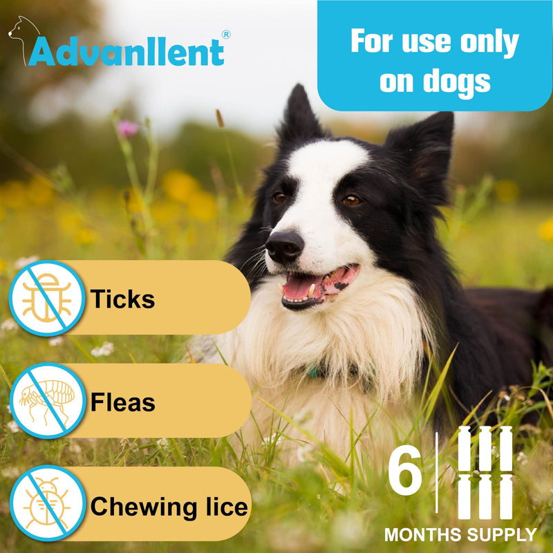 Flea and Tick Prevention for Dogs, Flea and Tick Treatment for Small Dog Puppy, Flea & Tick Control, 5-22 Pounds, 6 Doses small dog-6 Doses