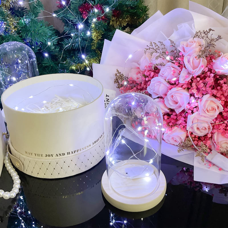 10 Pack Fairy Lights Battery Operated String Lights, 10 LED on 3.3ft Silvery Copper Wire，for Flowers Gift Box Wedding Party Christmas Decoration (10 Pack, Cool White) 10 Pack