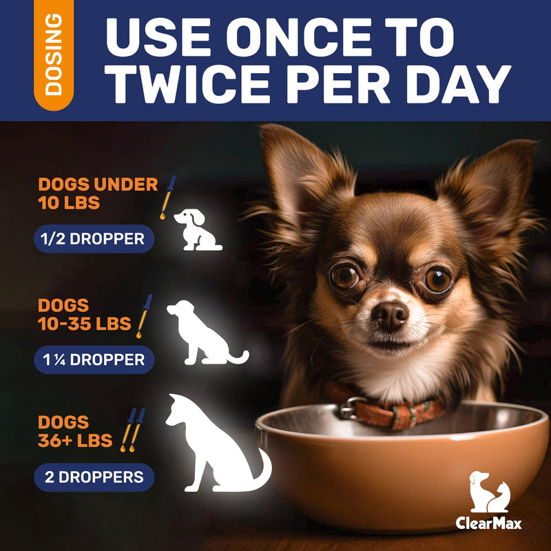 Natural Antibiotics for Dogs ◆ Dog Antibiotic ◆ Antibiotics for Dogs ◆ Dog Multivitamin ◆ Pet Antibiotic ◆ Dog Antibiotics ◆ Antibiotic for Dogs ◆ 2 Oz Bacon 2 Fl Oz