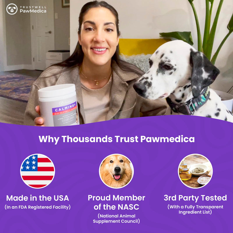 PawMedica Calming Chews for Dogs - Dog Sleep Supplement Melatonin for Dog Anxiety - Recommended Dog Calming Treats for Separation Anxiety and Barking Stress - Dog Melatonin Calming Bites for Fireworks 60 chews
