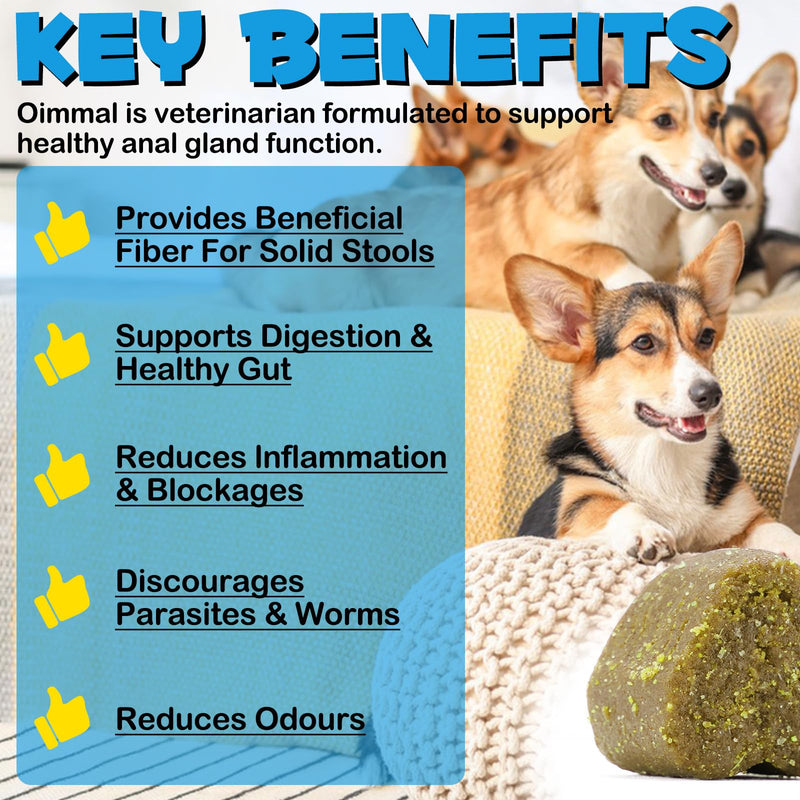 Anal Gland Support Soft Chews for Dog, 150PCs Dog Anal Gland Treats w/Pumpkin, Digestive Enzyme & Probiotics Support Healthy Bowel Function - Dog Health Supplies Fibre Supplements Chews - Beef Flavor - PawsPlanet Australia