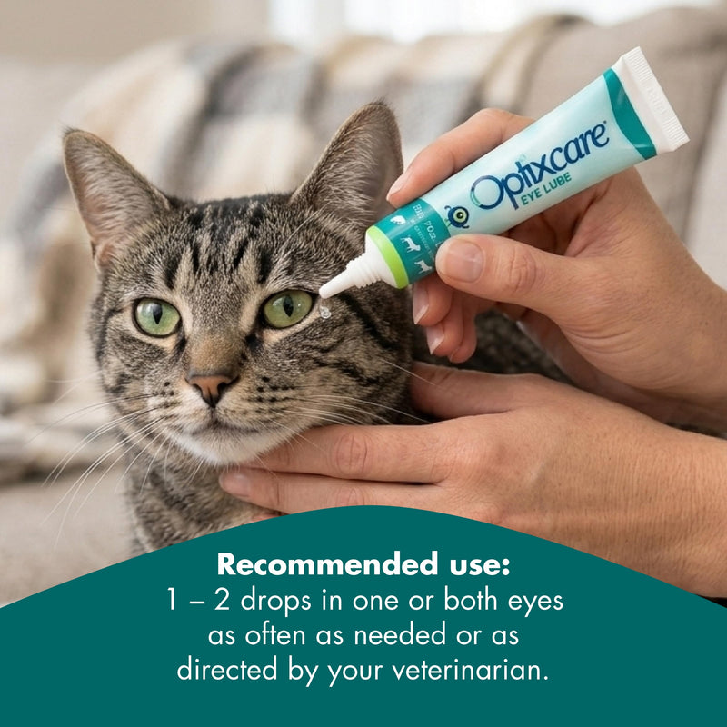 Optixcare Eye Lube 20g Lubricating Gel for Dry, Itchy & Irritated Eyes – Long‑Lasting Moisture Support After Eye Procedures