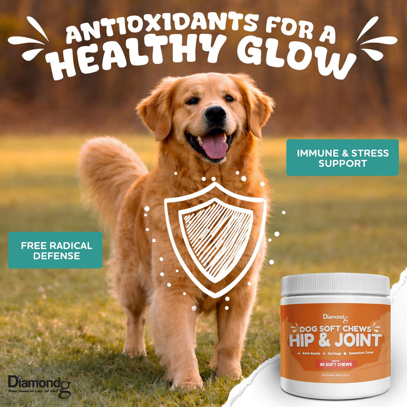 Diamondg Joint & Hip Supplement for Dogs for Large and Small Breed, 60ct – Dog Soft Chews with Glucosamine, Chondroitin, MSM, and Egg Shell Membrane to Support Mobility and Joint Health