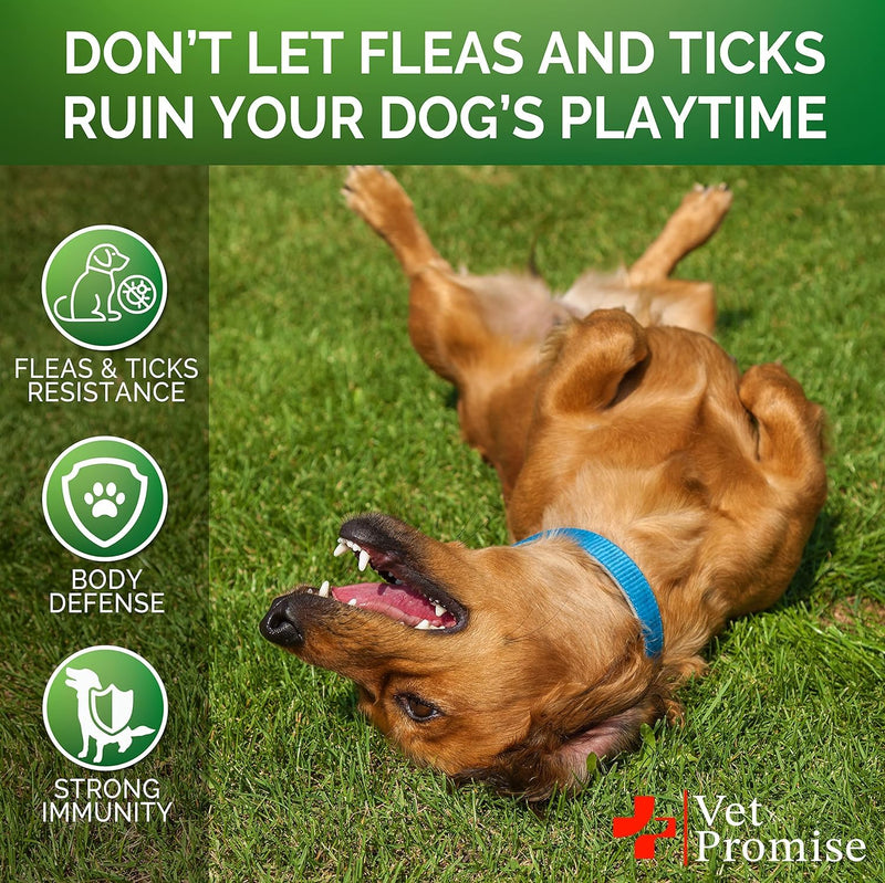 Flea and Tick Prevention for Dogs Chews - Natural Dog Flea and & Tick Control - Advanced Oral Pills Supplement Treatment for All Breeds & Size - Vet Formulated - Soft Chewables - Made in USA Flea and Tick Chews 119 Chews