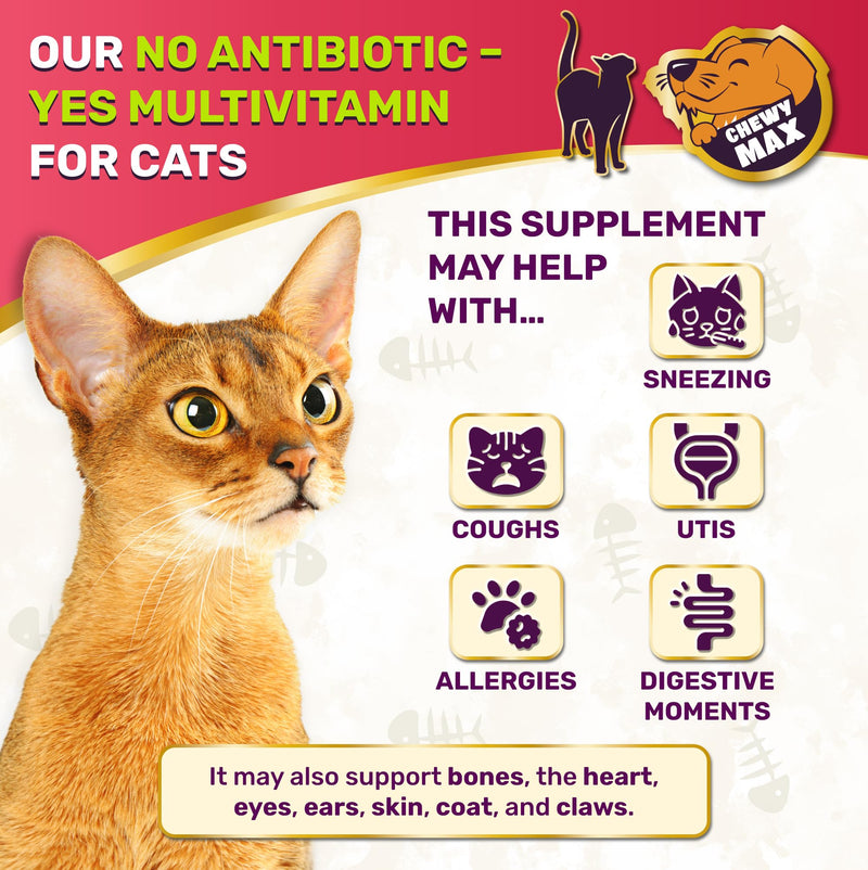 Cat Multivitamin Complex with Turkey Flavor – Natural Cat Antibiotic Liquid Alternative to Help with Allergies, UTIs & Cough – Herbal No Antibiotic Yes Multivitamin for All Breeds – 2 Oz 2 Fl Oz