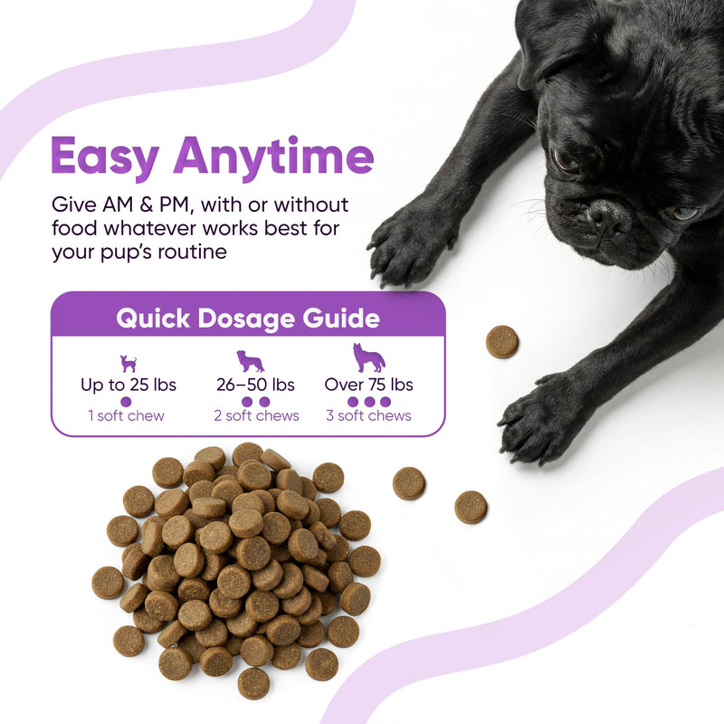 SNIFF 'N' CHOMP Dog Calming Chews, Peanut Butter Flavor, Natural Anxiety Relief with L-Theanine Chamomile Valerian Melatonin, Stress Support for All Breeds, Calming Dog Treats | 90 Soft Chews