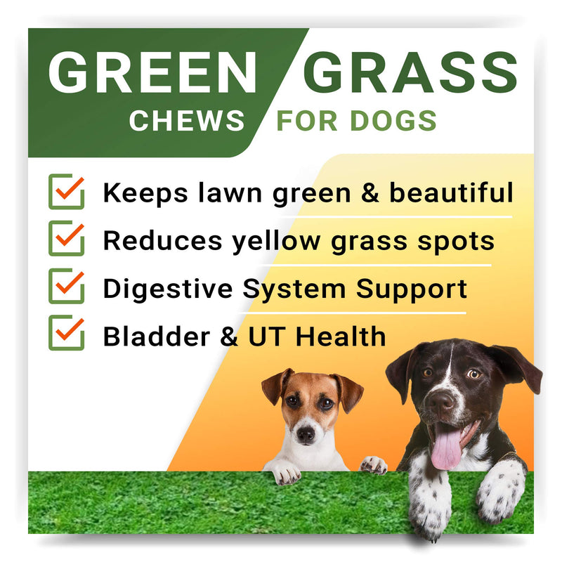 StrellaLab Grass Restore Treats for Dogs - Dog Pee Lawn Repair Chew Probiotics + Digestive Enzymes, Cranberry - Dog Urine Neutralizer for Grass Burn Spots - Health & Wellness Supplements for Dog