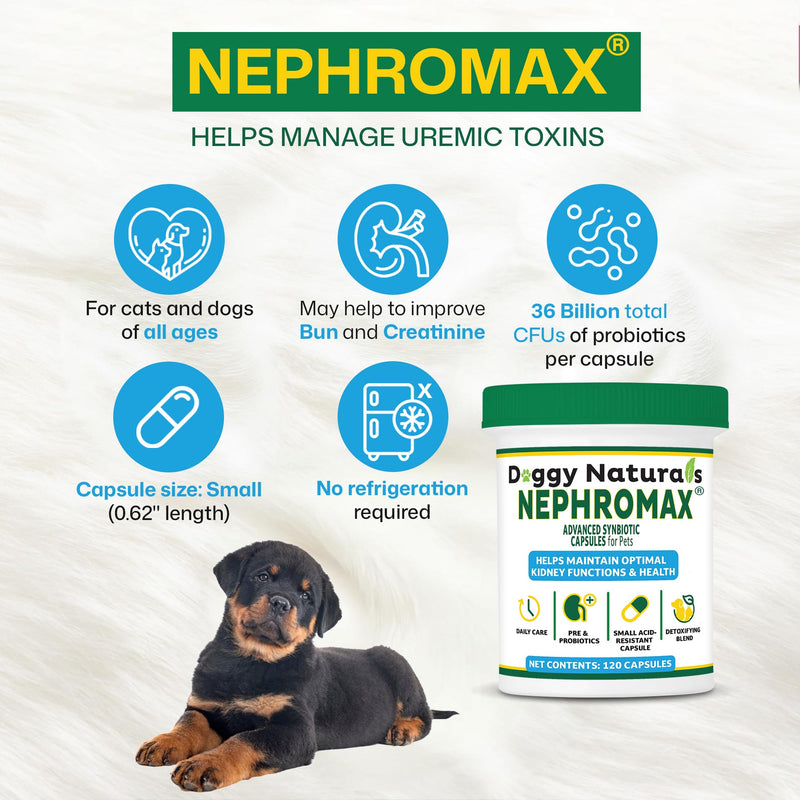 NEPHROMAX™ Synbiotic Capsules for Kidney Support for Dogs & Cats - 36 Billion CFU-Advanced Next-Generation Enteric detoxifying Blend of Pre & Probiotics Kidney Support U.S.A (120 Small Capsules) 120 Caps