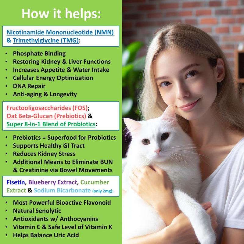 12-in-1 Kidney Support for Dog & Cat with NMN & Fisetin - Super Phosphate Binder Kidney and Liver Supplement for Feline, Canine Healthy Aging & Longevity (60 Capsules) 60 Capsules - PawsPlanet Australia
