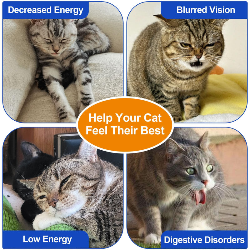 Taurine Powder for Cats, Cat Supplement for Heart, Vision, and Immune Support, Suitable for All Breeds & Ages, 200g