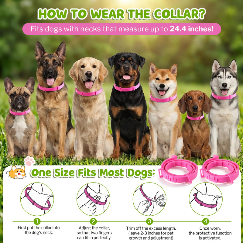 Flea and Tick Collar for Dogs, Dog Collars with Natural Essential Oils, Waterproof, Adjustable Size for Small Medium and Large Dog, Flea Prevention and Tick Control for Puppies(2 Pack,Pink) 1 Pink