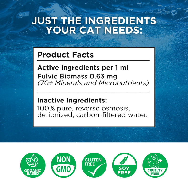 Beam Minerals Complete Feline Electrolytes | Full-Spectrum Electrolytes for Cats | 8 Fl Oz
