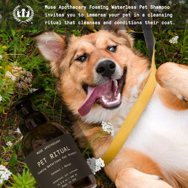 Muse Apothecary Pet Ritual Foaming Waterless Shampoo for Dogs, Waterless Dog Shampoo Foam, No Rinse Dog Shampoo, Waterless Dog Shampoo for Large Dogs - Essential Oils Infused, 11.5oz Oatmeal + Mango 5.75 Fl Oz (Pack of 2) - PawsPlanet Australia