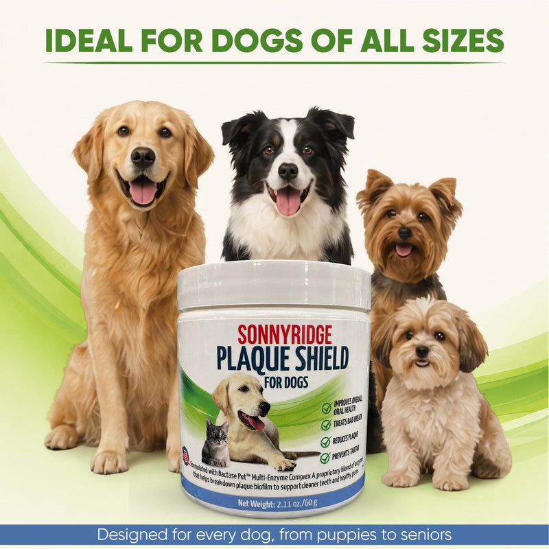 Dog Dental Powder for Dogs & Cats – Bactase Pet™ Enzymes, Astaxanthin & Ascophyllum Nodosum – Helps Reduce Plaque & Tartar, Freshens Breath & Supports Healthy Gums– Made in USA– 30 Servings