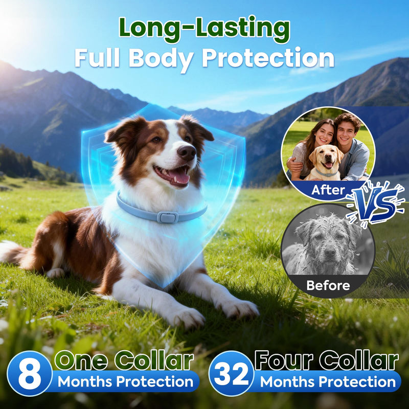 KOOSA Flea and Tick Collar for Dogs, 2 Packs Flea Collar for Dogs with Natural Essential Oils, Waterproof & Adjustable Flea and Tick Prevention Collar for Small Medium Large Dogs & Puppies, Grey 04