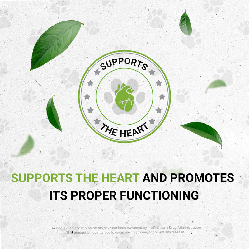 Wolf's Blood Pressure | Natural Herbal Dietary Supplement for Dogs | Healthy Blood Pressure Support in Dogs | Alcohol-Free Extract, Dandelion Root, Lemon Balm, Calendula, Lavender, Fennel 2 oz