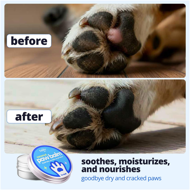 Taily Premium Pet Balm Lick-Safe Dog Paw & Nose Balm with Coconut Oil | All-Natural Moisturizer & Soother for Dry, Cracked Pads & Snout | 60 g