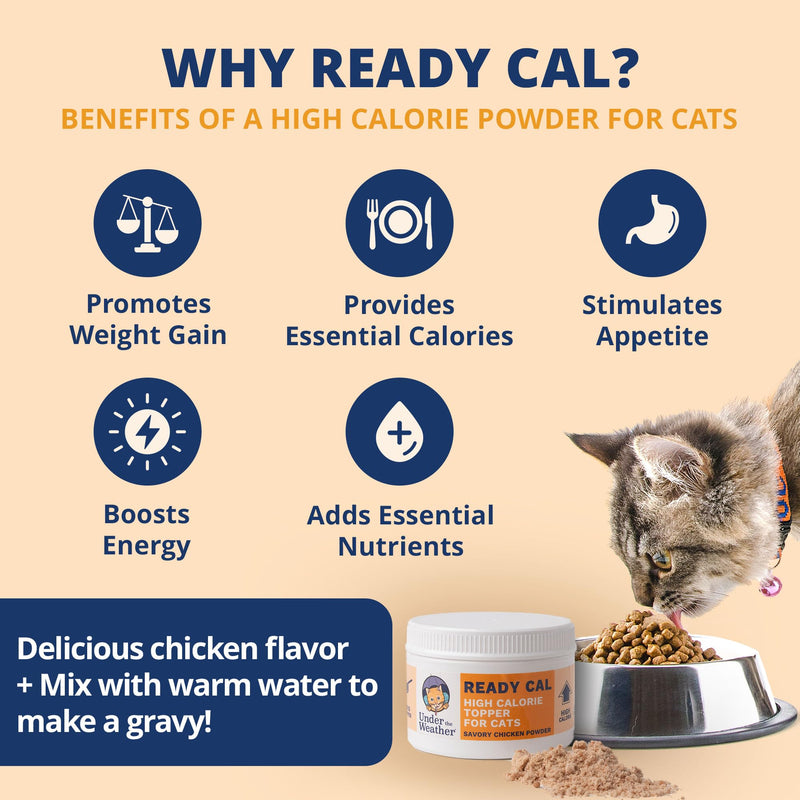 Under the Weather Ready Cal Powder for Cats | High-Calorie Weight Gainer & Appetite Stimulant | Cat Energy Booster Veterinarian-Approved Pet Supplement with Vitamins & Minerals | Chicken Flavor For Cats - Ready Cal Powder