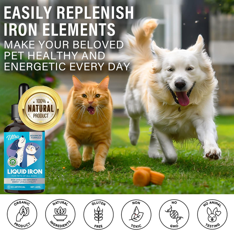 Liquid Iron Supplements for Cats, Dogs with Vitamin C and B12, Supports Anemia, Low Enery Levels and Lethargy, Improve Blood Health