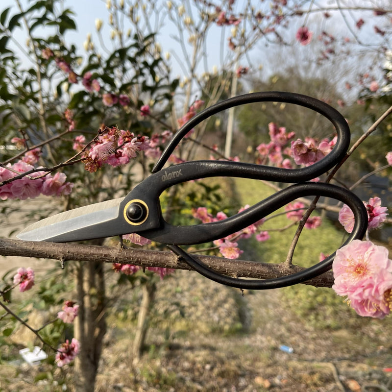 8 Inch Full-Steel Forged Precision Long Ohkubo Garden Shears – Ultra-Sharp Bypass Pruner for Delicate Shoots & Leaves