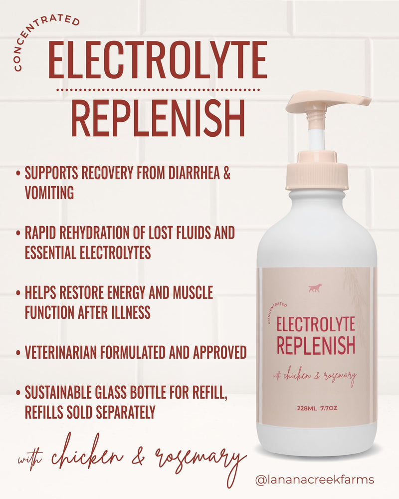 Lanana Creek Farms® Electrolyte Replenish 7.7 oz Glass Bottle with Pump | Vet-Formulated Hydration Booster | Restore Balance and Promote Recovery | Made in the USA 7.7 Ounce