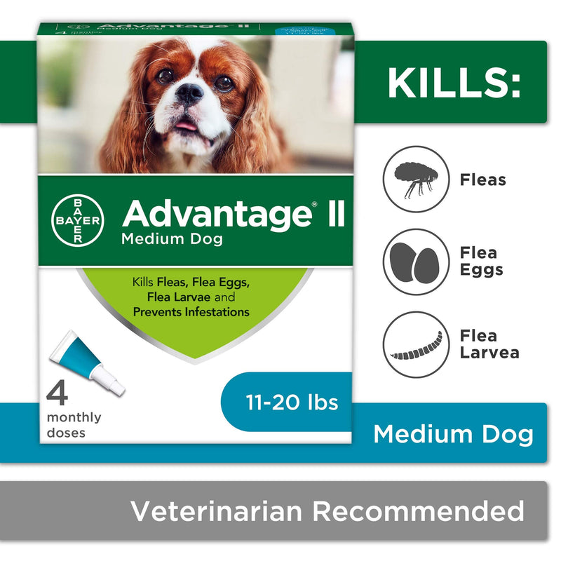 Advantage II 4-Dose Medium Dog Flea Prevention, Topical Flea Treatment for Dogs 11-20 Pounds - PawsPlanet Australia