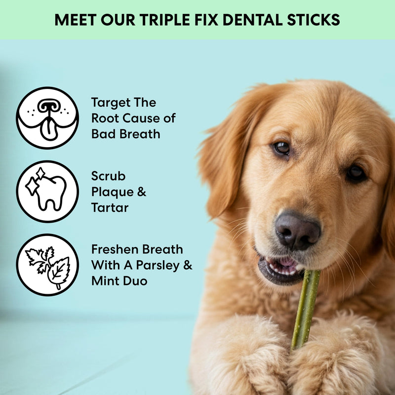 The Pets Table Dental Chews for Dogs 28 Sticks (20 oz), Chicken, Mint & Parsley | Dental Treats/Teeth Cleaning Chews | Removes Plaque and Tarter | Dental Sticks for Bad Breath Treatment | Dental Bones Chicken, Mint, and Parsley 1.25 Pound (Pack of 1)