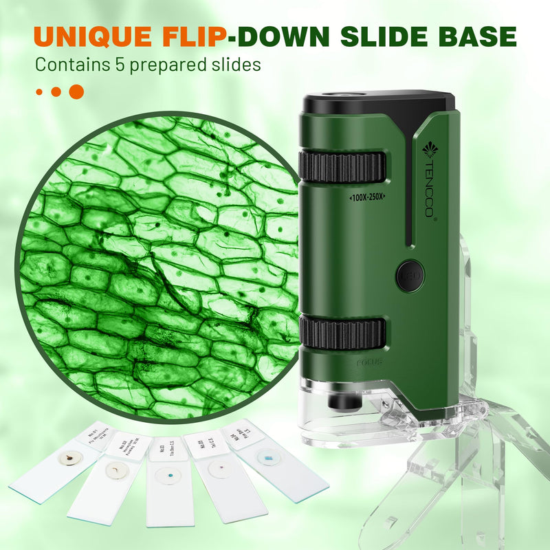100x-250x Mini Pocket Microscope for Kids Adults, Protable Handheld Microscope with 5 Microscope Slides, Phone Adapter, Miniscope Portable Microscope Kit for Kids Adults Science Lab Education, Green