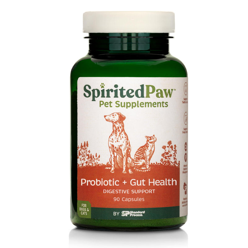 Spirited Paw Probiotic + Gut Health - Digestive & Immune Support for Dogs & Cats - Prebiotic, Probiotic & Postbiotic Pet Care Blend with Organic Buckwheat & Chicory Root Fiber - 90 Capsules