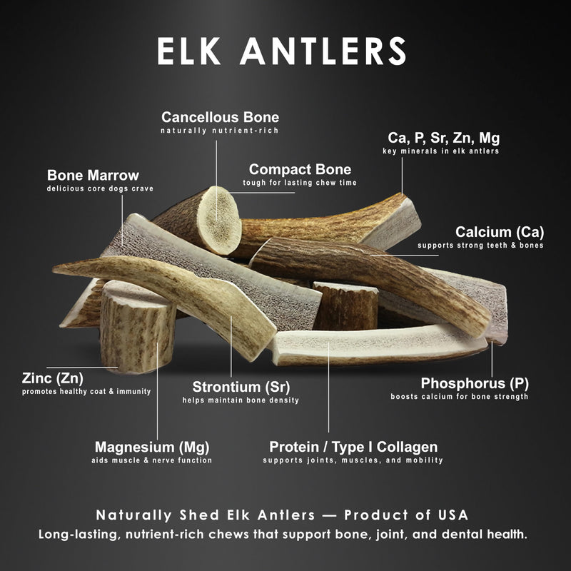4 Medium Split Elk Antler Dog Chews and Omega 3 Fish Oil Bundle for Dogs Supporting Chewing Coat and Joint Health