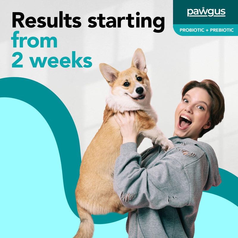 Ultimate Prebiotic and Probiotic Combo for Dogs Canine 30 Sachets - Digestive Enzymes for a Healthy Gut, Diarrhea Relief, Immune Support, Gas Relief, 7 Billion CFU, Vitamins - Vet Recommended