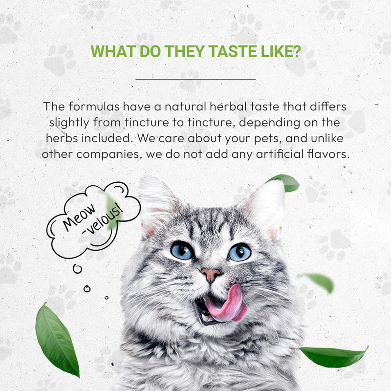 Lion's Urinary | Natural Herbal Dietary Supplement for Cats | Healthy Urinary System Support in Cats | Alcohol-Free Extract, Dandelion Root, Calendula, Linden, Chamomile, Fennel 2 oz