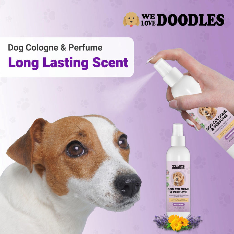 We Love Doodles Dog Hot Spot Spray & Dog Cologne Bundle - Itch Relief for Dogs Licking Paws, Anti-Itch Allergies, Long Lasting After Bath, Deodorant for Smelly Dogs