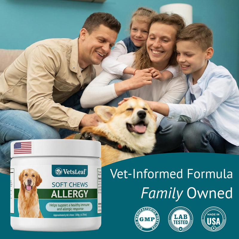 Dog Allergy Chews for Itchy Skin, Hot Spots, Paw Licking Relief & Itchy Ears – Quercetin, Turmeric, Probiotics & Colostrum – Made in USA – 60 Count Allergy Relief