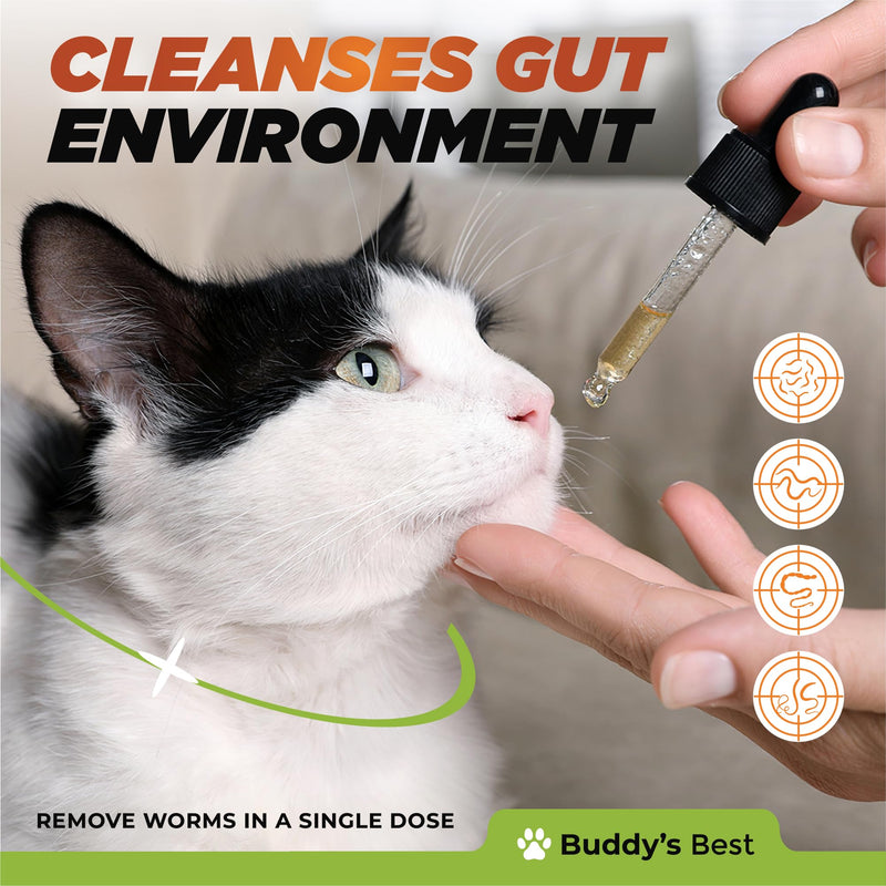 Natural Dewormer for Cats | Herbal Blend with 3 Powerful Medicinal Herbs | 100% Natural | Supports Gut & Intestinal Health | Gentle Yet Effective - PawsPlanet Australia