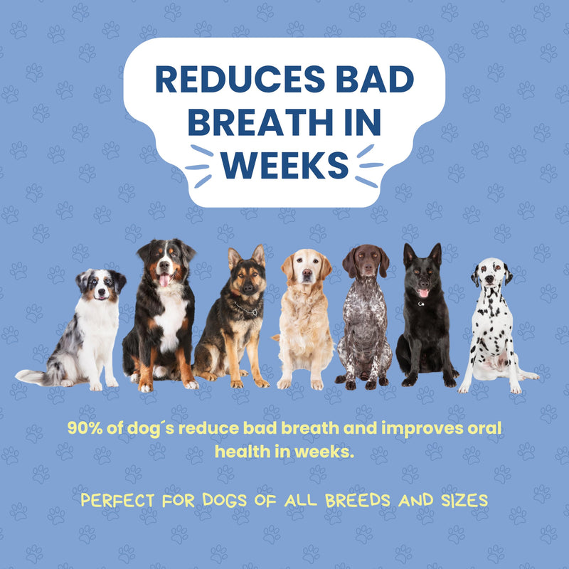 Dog Dental Powder - Unflavored Oral Care Support - Helps Freshen Breath and Manage Plaque and Tartar - Mix with Daily Food - Natural Ingredients, GMO-Free - 3.17 oz (90 g)