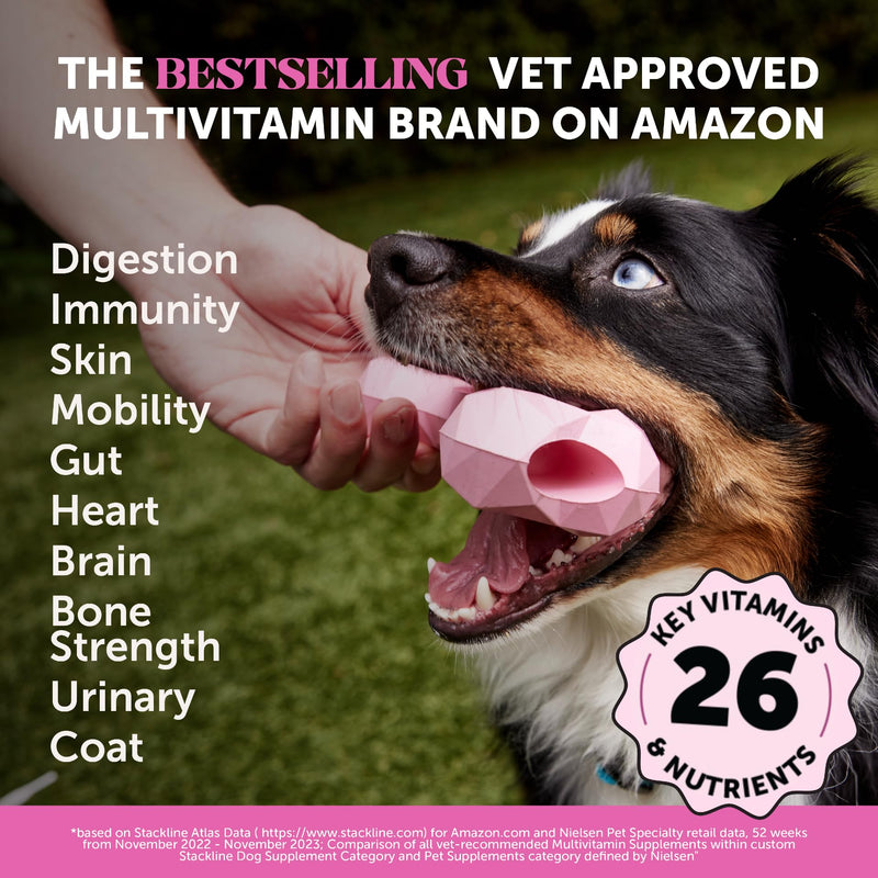 Pet Honesty Dog Wellness Virtual Bundle – 10-in-1 Multivitamin Supplement (Peanut Butter, 90 Ct) + Brush Buddies Dental Sticks for Large Dogs (8 Ct) – Daily Health & Dental Support