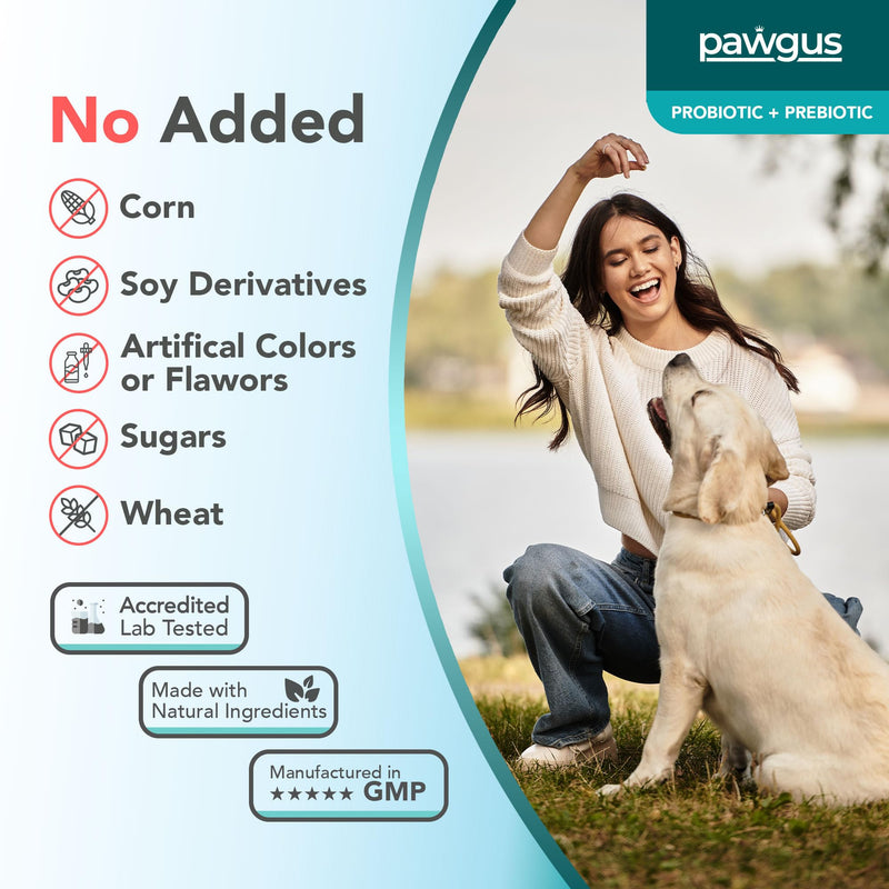 Ultimate Prebiotic and Probiotic Combo for Dogs Canine 30 Sachets - Digestive Enzymes for a Healthy Gut, Diarrhea Relief, Immune Support, Gas Relief, 7 Billion CFU, Vitamins - Vet Recommended