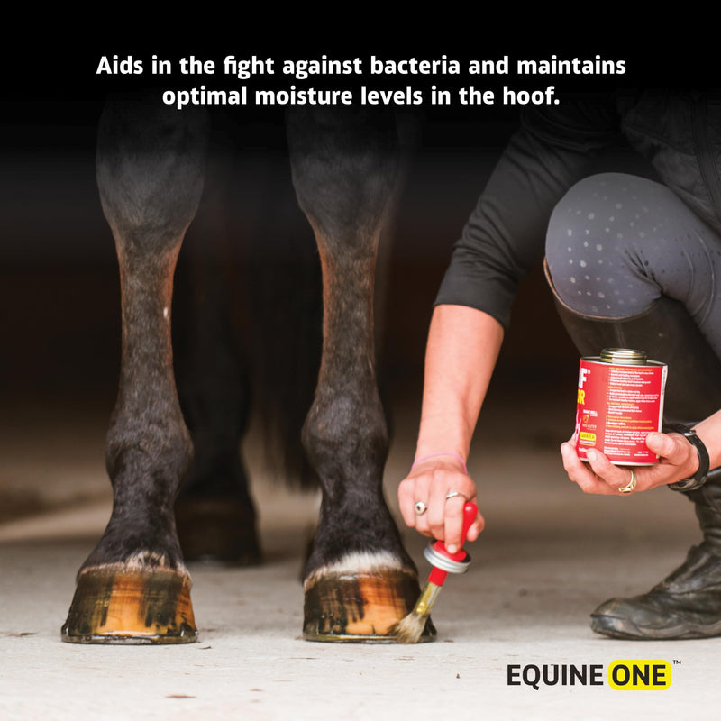 Equine One Natural Hoof Dressing - 100% All-Natural Hoof Care Product - Abscesses || Thrush || White Line || Quarter Crack (16 fl.oz) 16 fl.oz