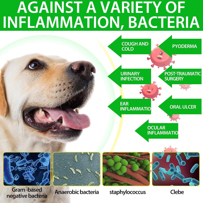 Antibiotics for Dogs, Natural Antibiotics for Dogs, Dog Antibiotics for Infection Supports Immune & Dogs Allergy Relief, Dog Multivitamin UTI Drops Natural Supplement for All Ages & Breeds-2PCS 2PCS
