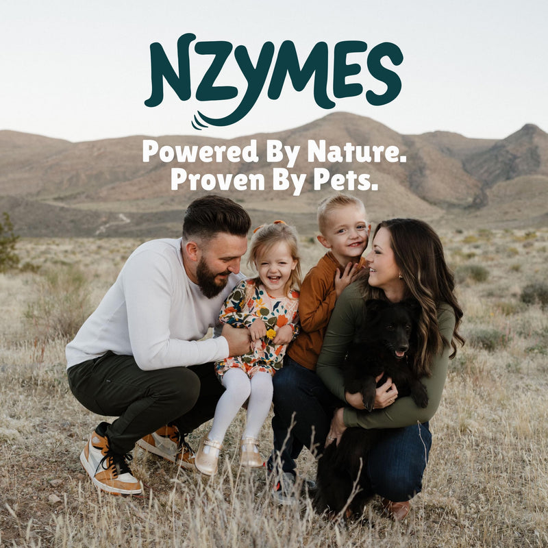 Nzymes® Antioxidant Treats - for Dogs Joints, HIPS, Paralysis, Skin, Coat, Hair Loss, Aging, Digestion, Neurological, Seizures - 60 Treats - Made in The USA Large Breed 1 Bottle